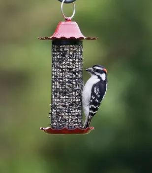 

European style wild bird feeder Outdoor bird feeders food container