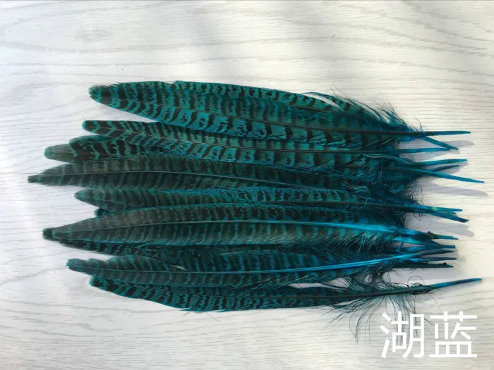 20pcs 9 color diy jewelry accessories feathers Mother mountain chicken tail feathers Stage performance props decoration AC071 - Цвет: 7