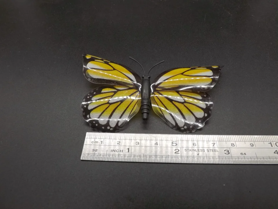 I271-Butterfly (9)