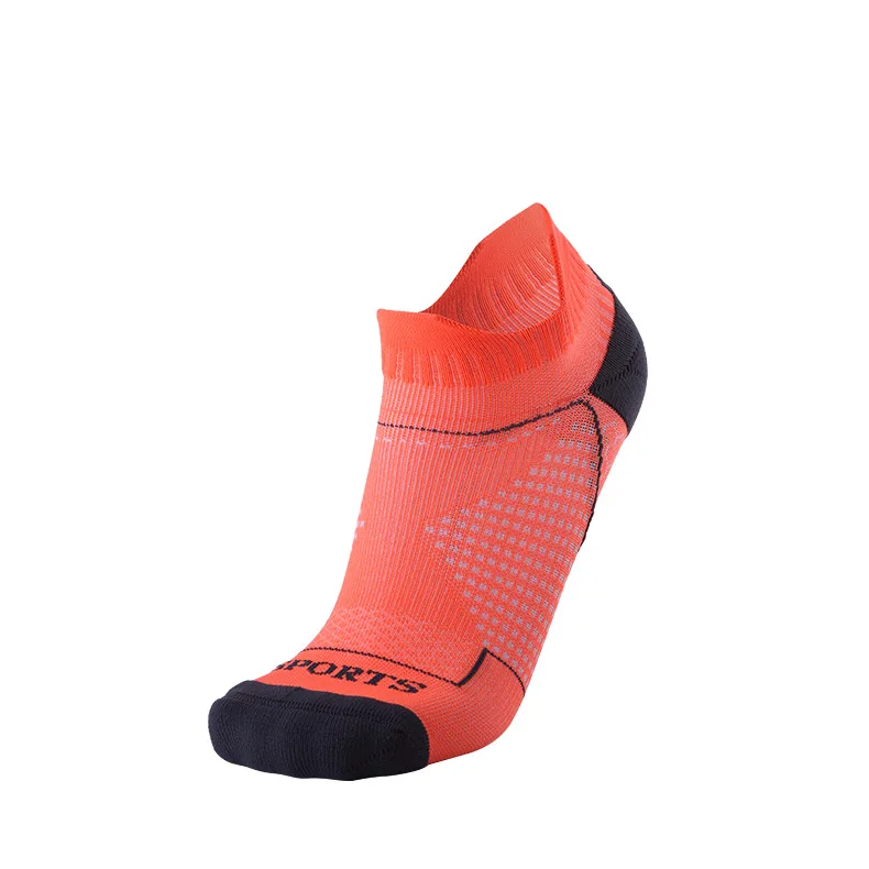 8581801695_1949361995