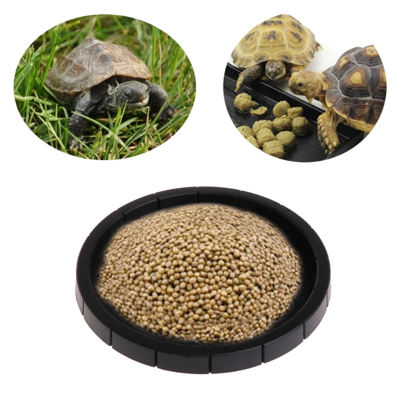 Круглая форма кормушка для рептилий еда вода блюдо чаша держатель таза для ящерицы черепахи