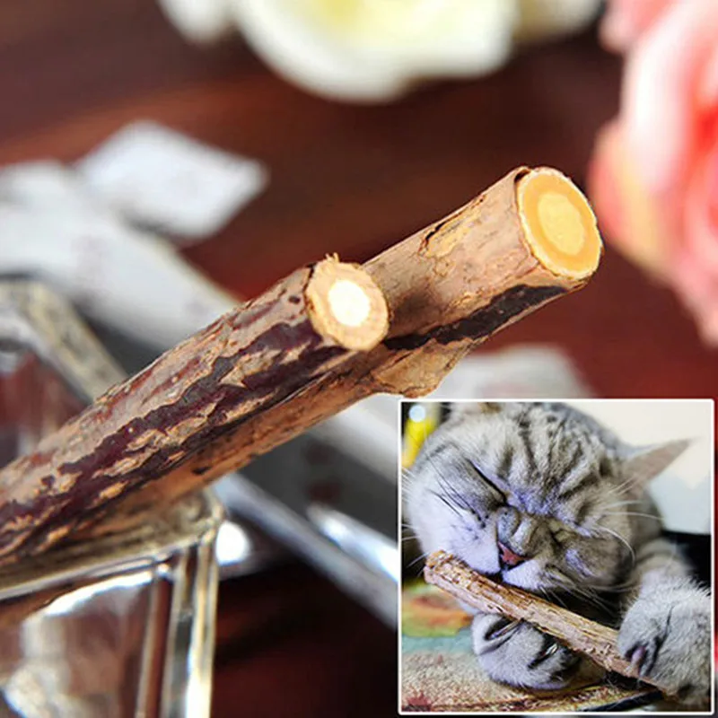 

Free Shipping Cat cleaning teeth Pure natural catnip pet cat molar Toothpaste stick 2Pcs/bag fruit Matatabi cat snacks sticks