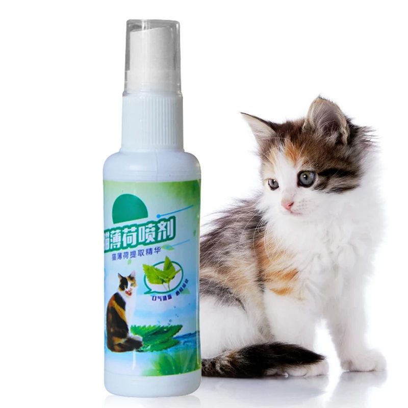 

Natural Cat Mint Catnip Organic Premium Scratcher Spray Cat Mint Menthol Flavor Cats Treats Funny Toy Pet Training Toy