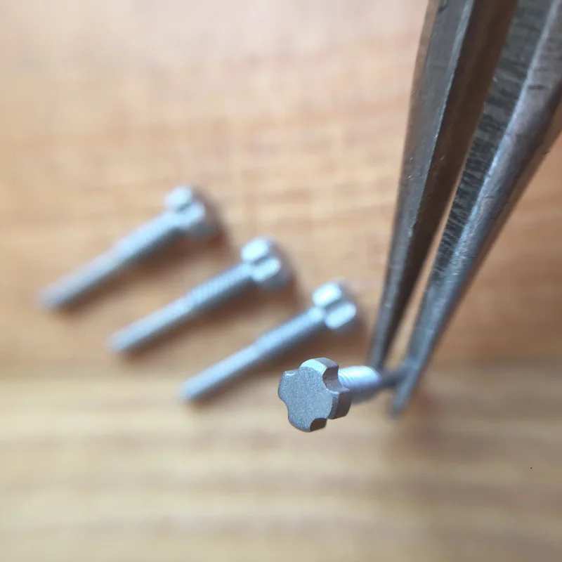 High Quality screws for watches