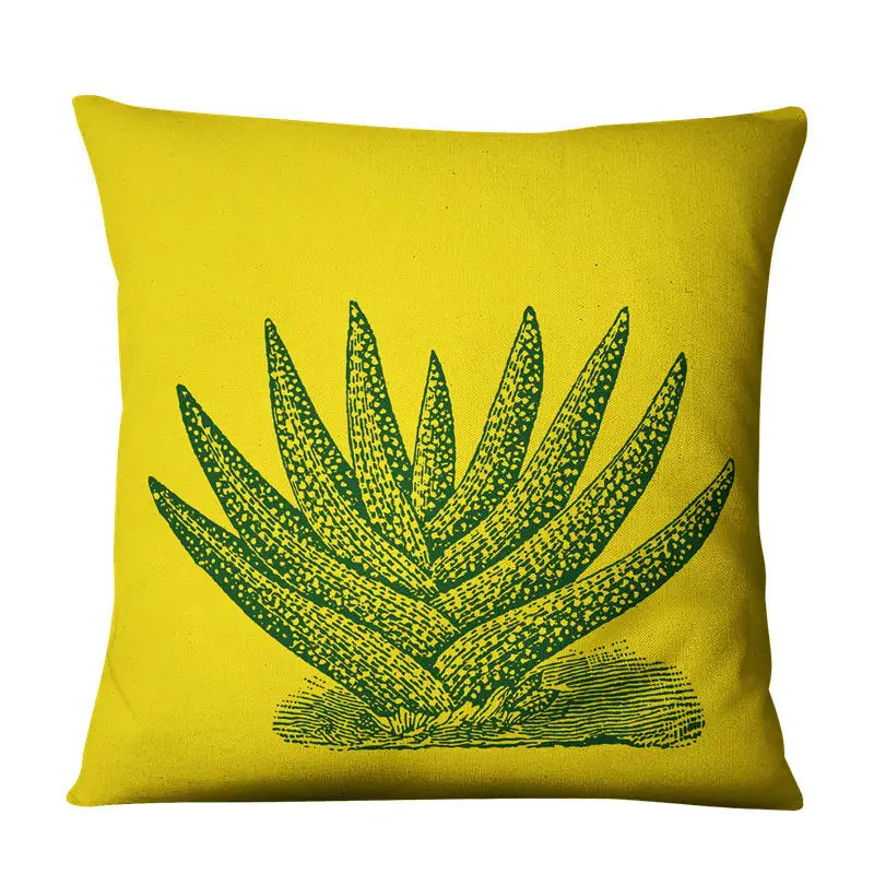 8826039102_1422363656