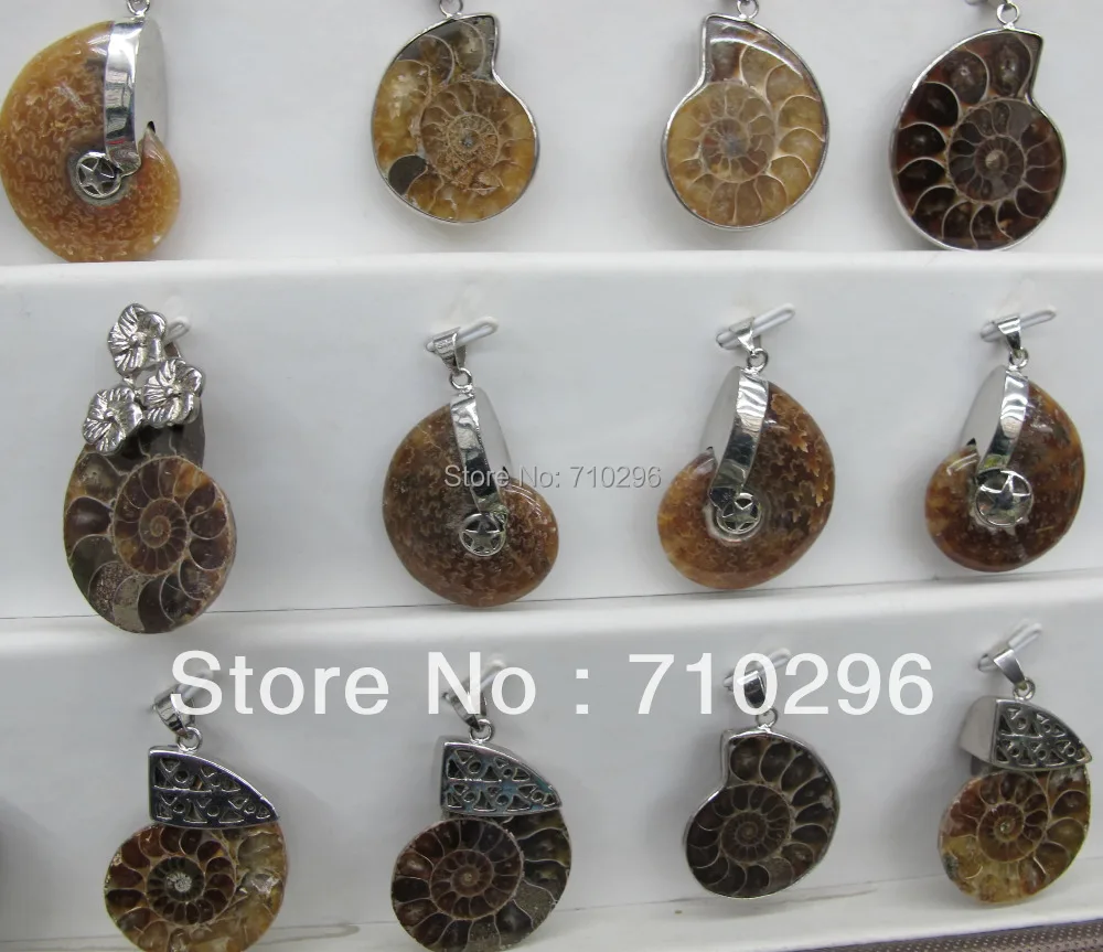 Wholesale 12Pcs lot Natural Ammolite Fossil Pendant Gem Stone Ammolite 