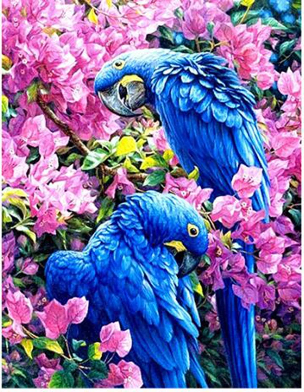 QQ20190120165657
