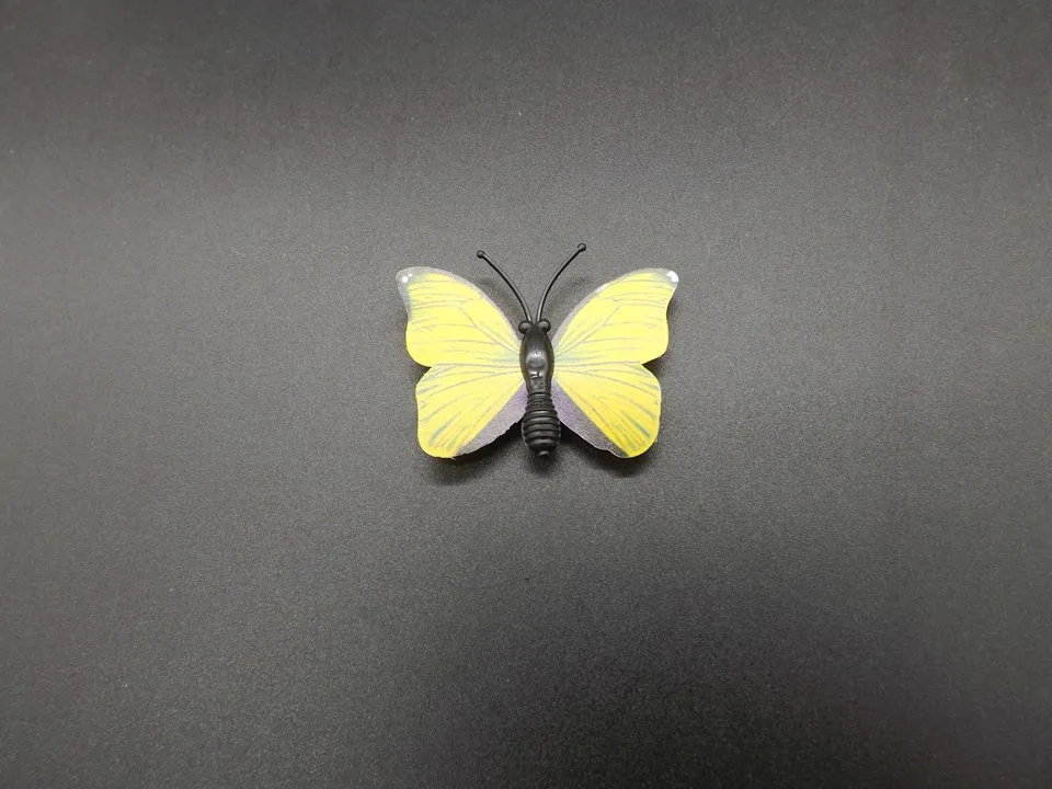 I259-Butterfly (6)