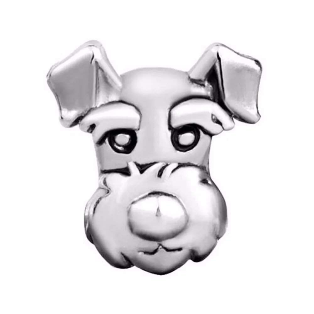 QQ20160128160740