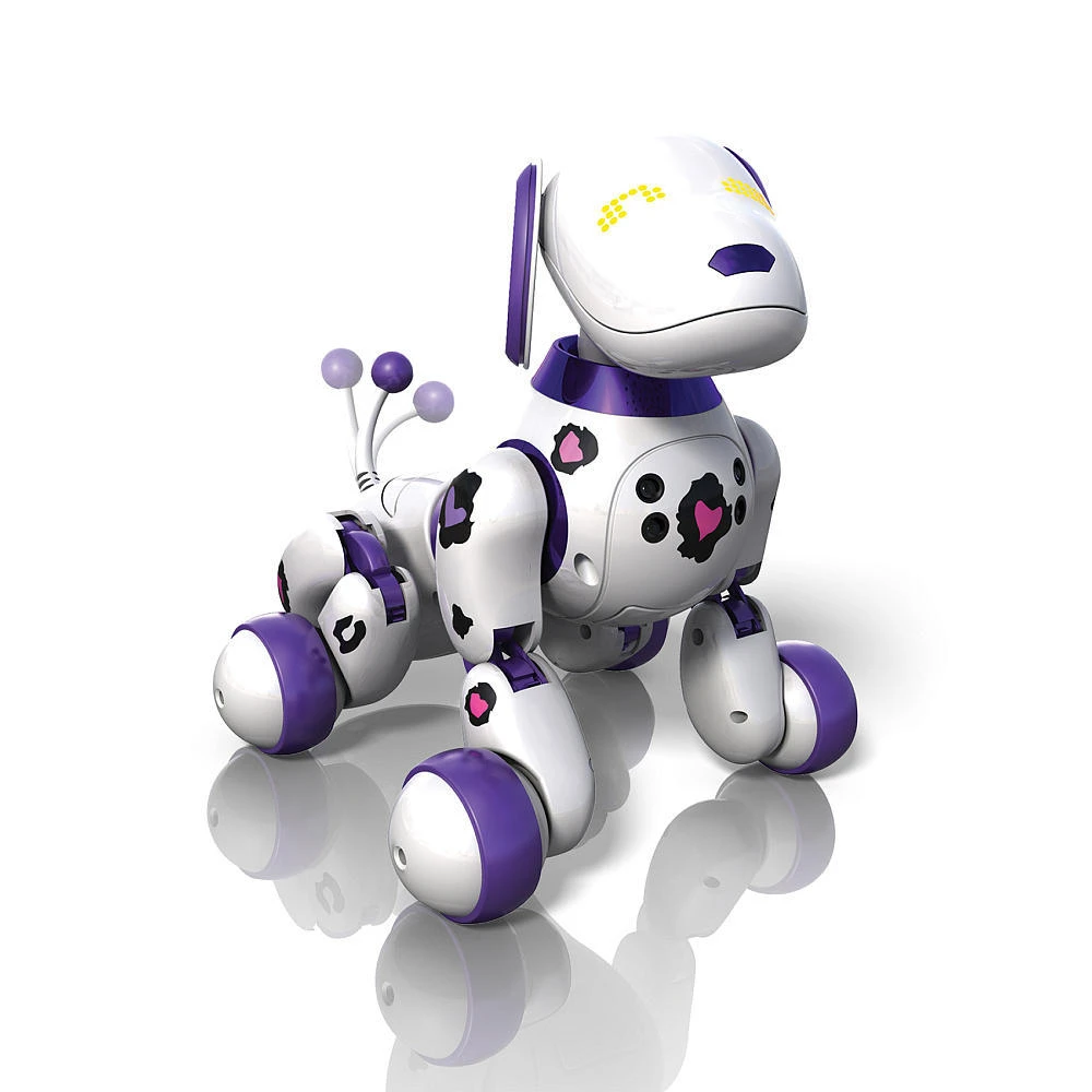 zoomer robot