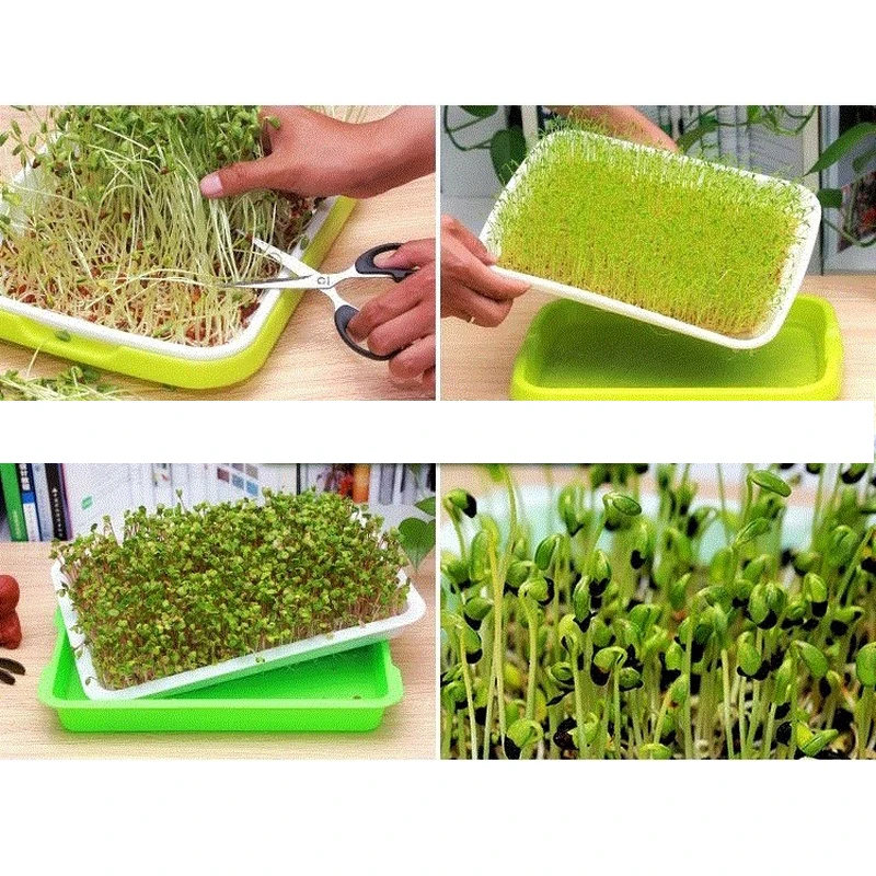  Double-Layer Plant Nursery Pots Hydroponics Tray Seed Sprout Plate Plant Germination Tray Grow Box Vegetable Seeding Tray Case (6)
