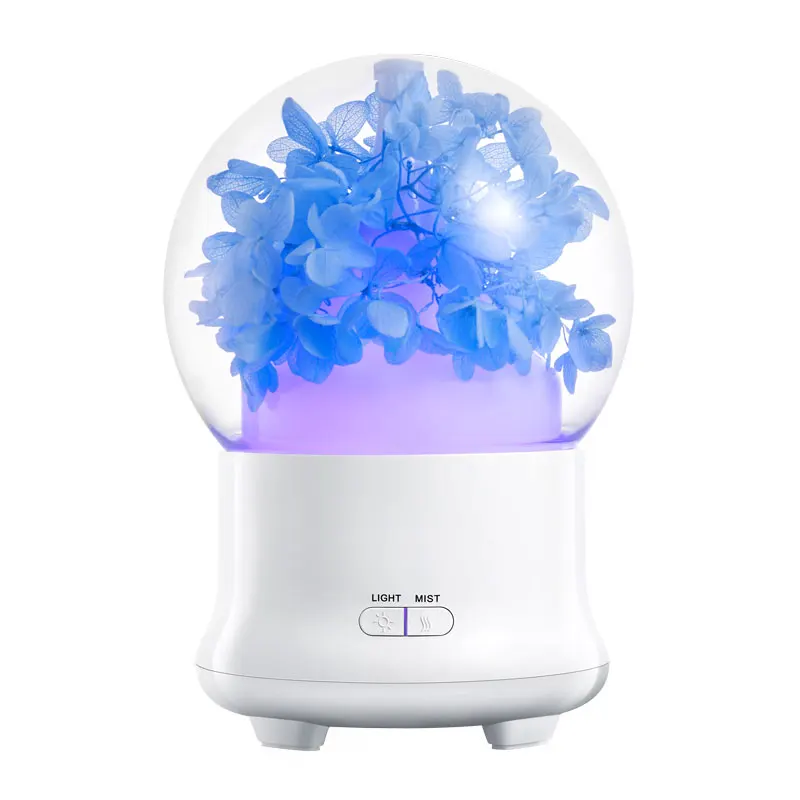 air humidifier (10)