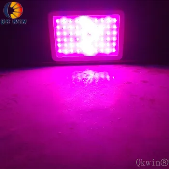 

Germany Warehouse drop shipping Qkwin 1000W LED Grow Light with double chip 10W Full Spectrum LED Grow Light