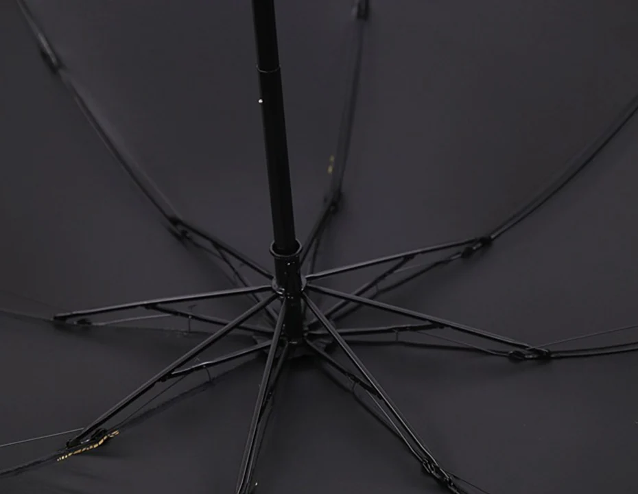 010 Umbrella