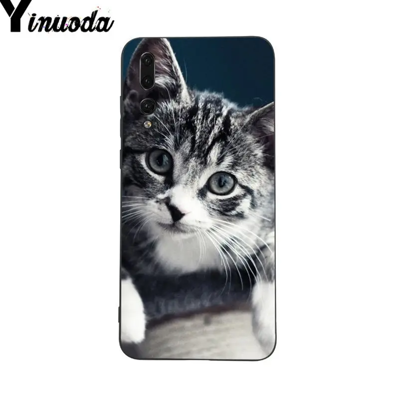 Yinuoda Pet Maine Coon Cat Diy чехол для телефона с рисунком Huawei P9 P10 Plus Mate9 10 Mate10 Lite P20 Pro Honor10