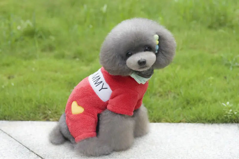 Y102_New_Winter_clothes_for_pet_dogs_Warm_Fleece_4_legs_clothes_Love_Mommy_Daddy_Small_dediumn_dog_Overall_clothes_ (11)