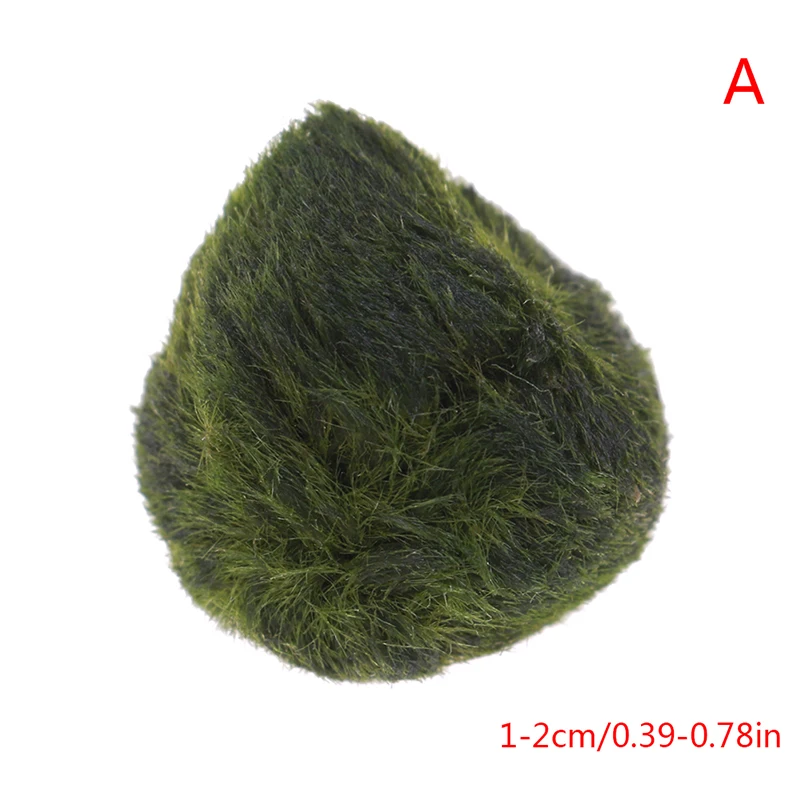 New Happy Seaweed Ball Aquarium Landscaping Environmental Sea Ball Green Algae