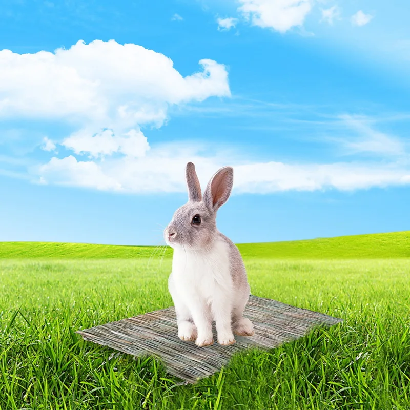 Hamster Grass Mat For Rabbits Cages For Natural Small Pet Hand
