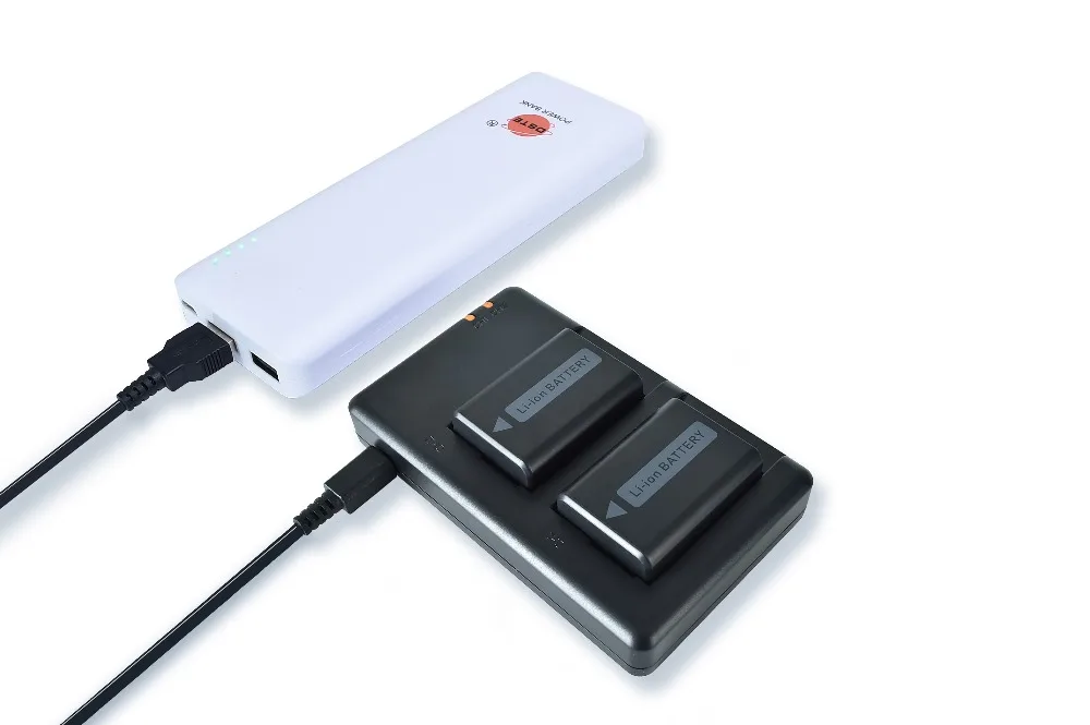 Billige DSTE Dual Slot Ladegerät mit 2PCS NP FW50 NP FW50 np fw50 Batterie für Sony NEX 3DW, NEX 5N, ST A37, NEX 3KS, A7, a6500, a6400, a6100