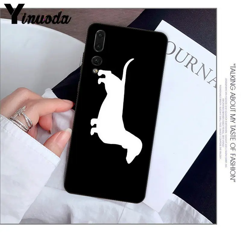 Animals Dogs Dachshund 