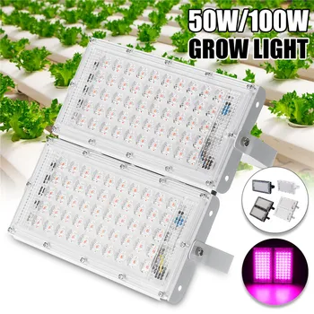 

50W/100W Led Grow Light Full Spectrum COB Grow LED Flood light AC220V for Plant Indoor Outdoor Hydroponic Greenhouse