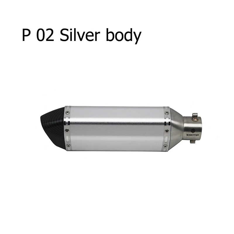 model P-02 ZSDTRP Akrapovic глушитель мотоцикла Escapamento Moto Universel для nmax CRF 230 Z750 CB400 ER6N GY6 с глушителем - Цвет: model P-02
