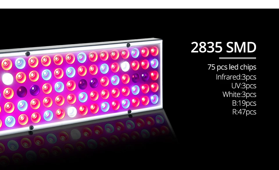 LED Phyto Lamps  (6)