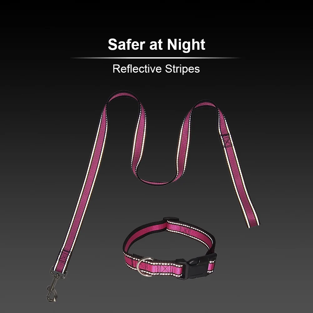 dog leash (8)