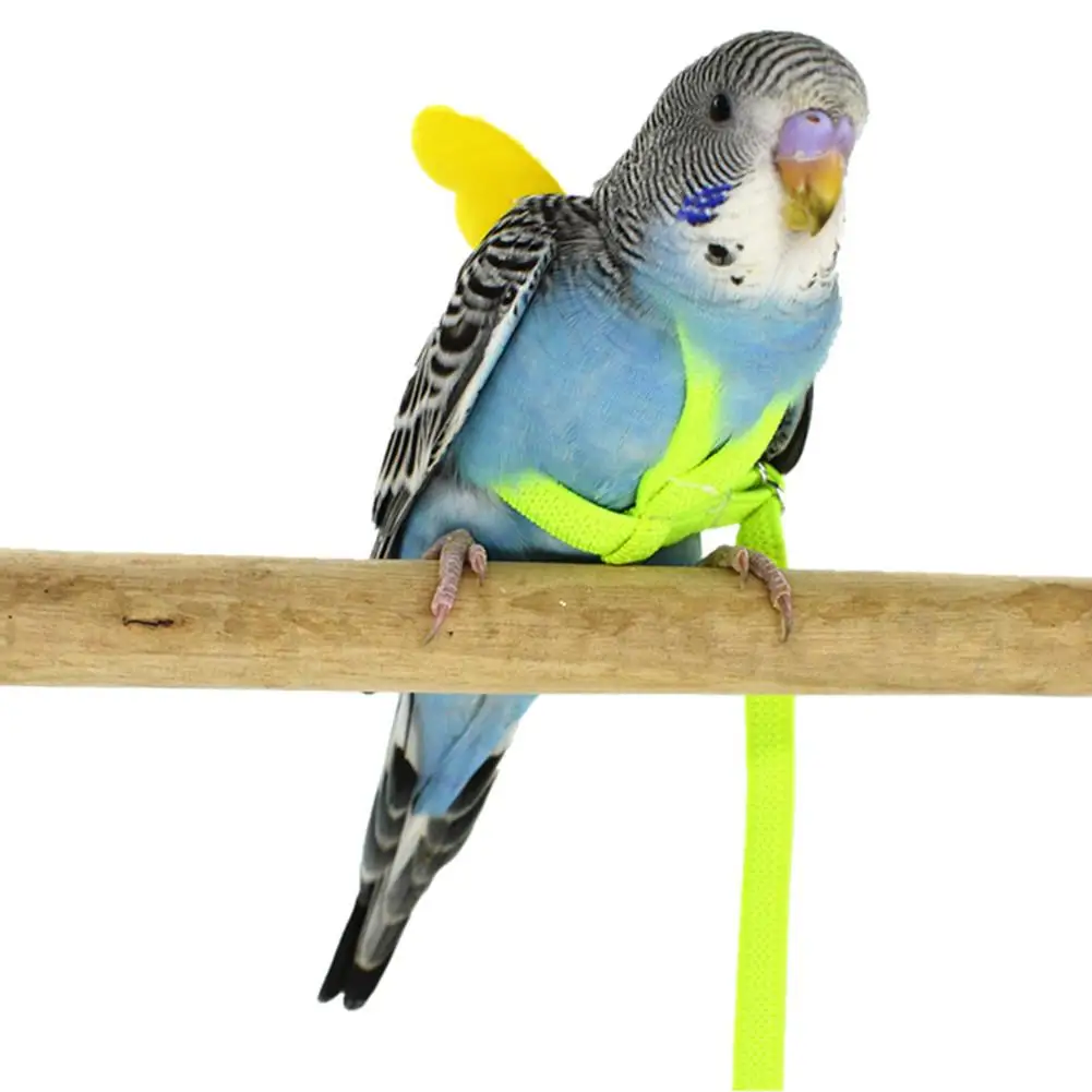 Pet Parrot шлейка для птицы поводок Летающий канат ремни тренировок на открытом