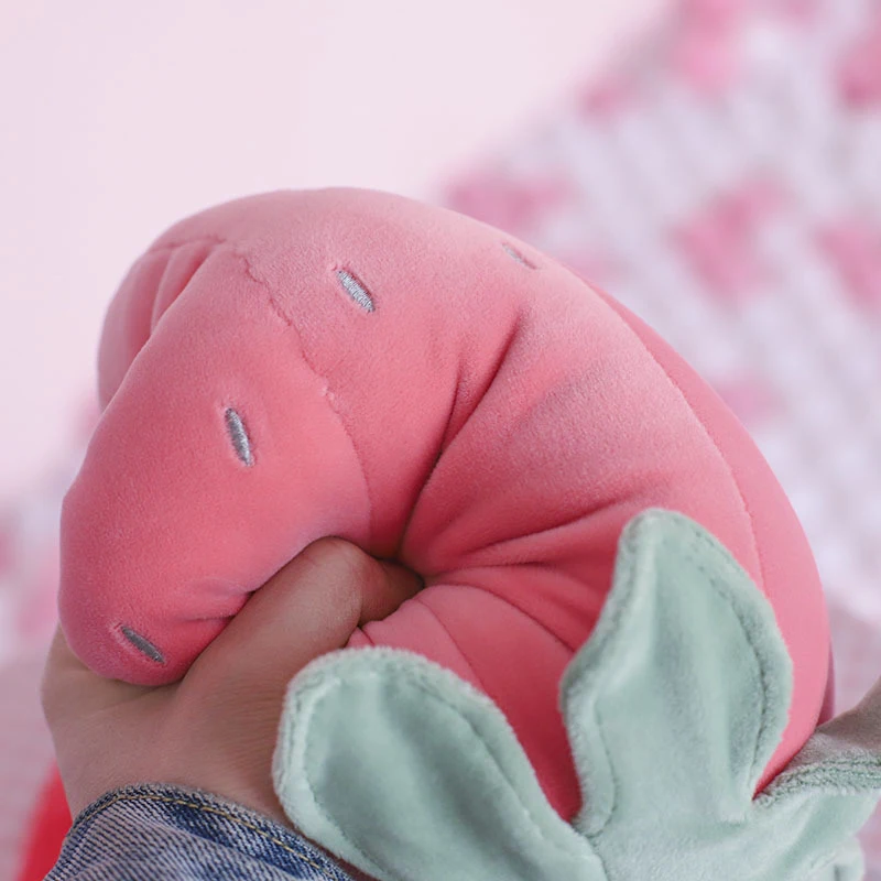 kids toy plush strawberry (10)