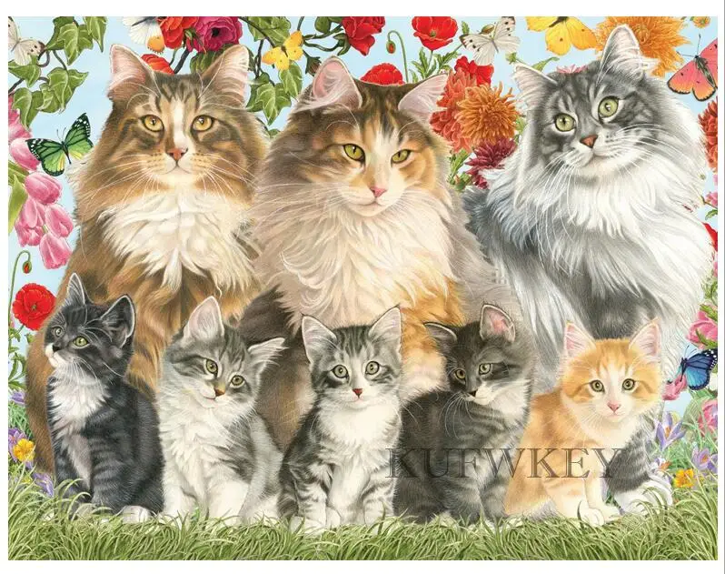 QQ截图20190531125341