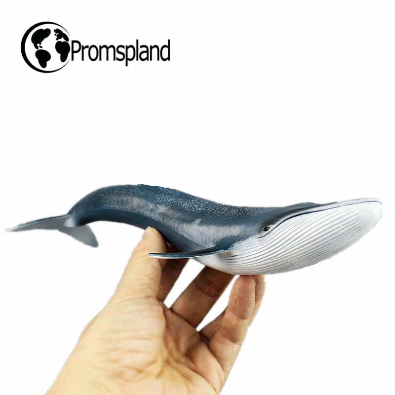blue whale figure