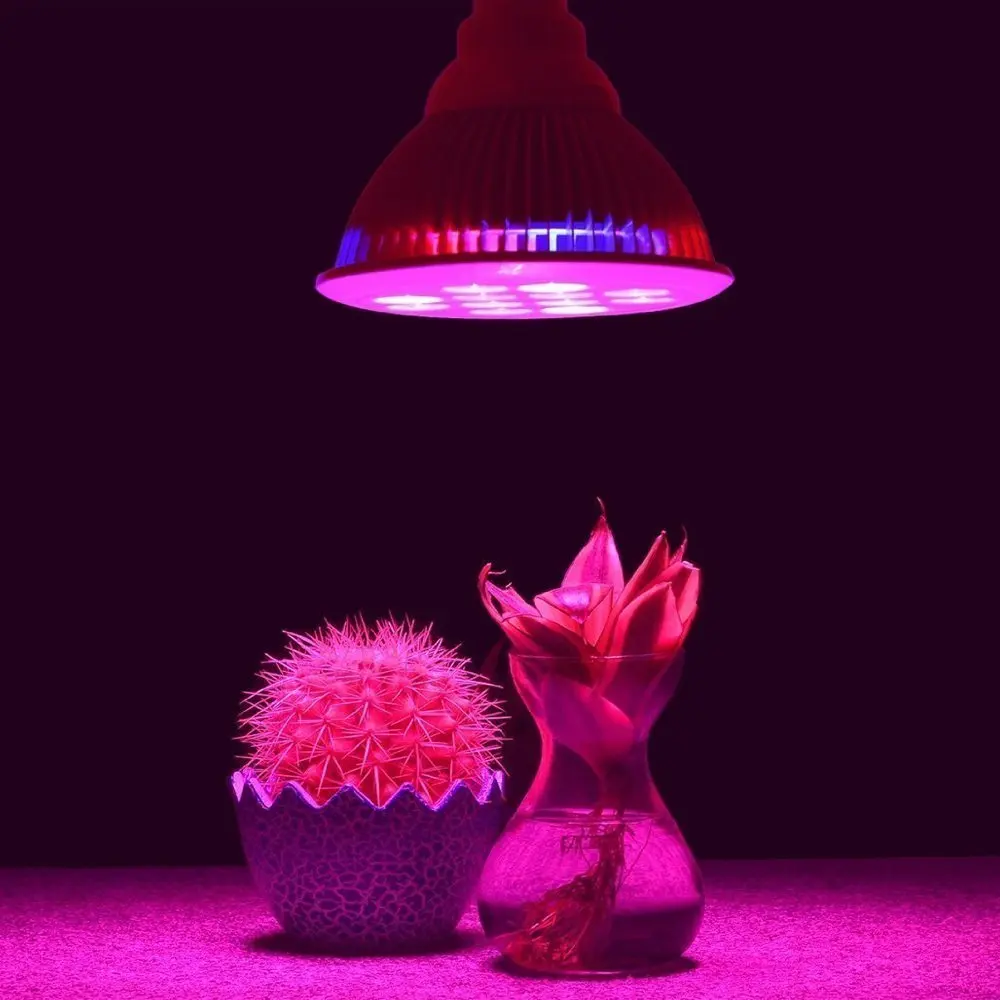 LED Plant Lights Bulbs 36W Full Spectrum Growing Lamp Hydroponic