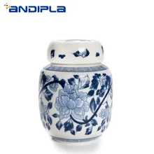 Портативные дорожные чайные банки синий и белый фарфор чайный Caddy керамический чайный набор кунг-фу мини-контейнер Конфета орех кофе банка для специй