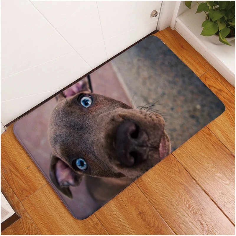 

Kawaii Floor Mats Animal Cat Printed Bathroom Kitchen stair Carpets Doormats water absorbs rug for Living Room Anti-Slip Tapete