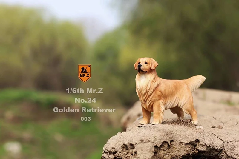 3 цвета Mr. Z 1/6 масштаб золотой ретривер животное модельная игрушка в виде собаки для 12 дюймов Экшн фигурки аксессуары коллекции