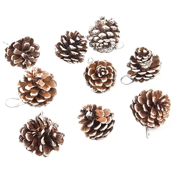 aliexpress com buy 9 pcs lot real natural small pine aliexpress com buy 9 pcs lot real natural small pine