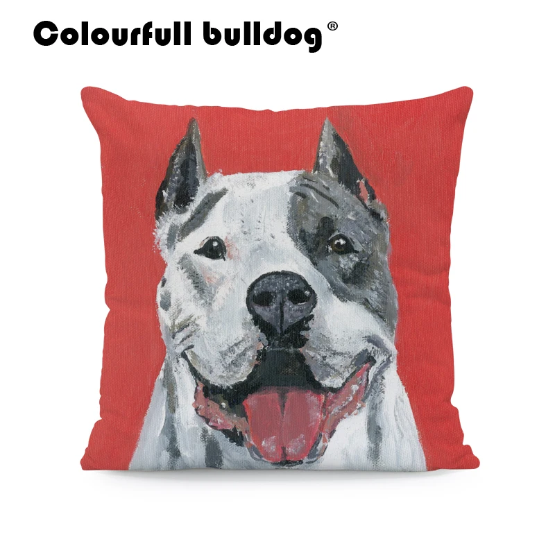 AB9166 (3) American Pit Bull Terrier