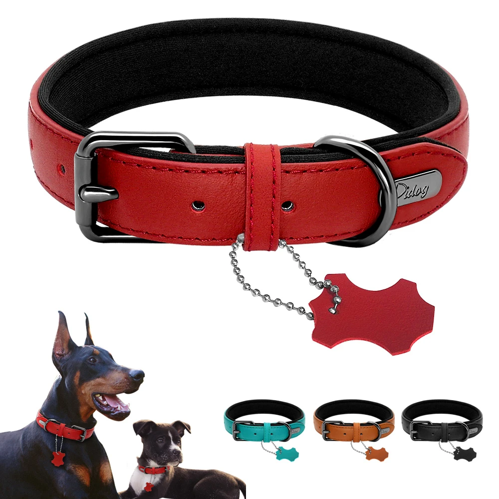 Leather Dog Collar Neoprene Padded Pet Collar Leash Harness for Small