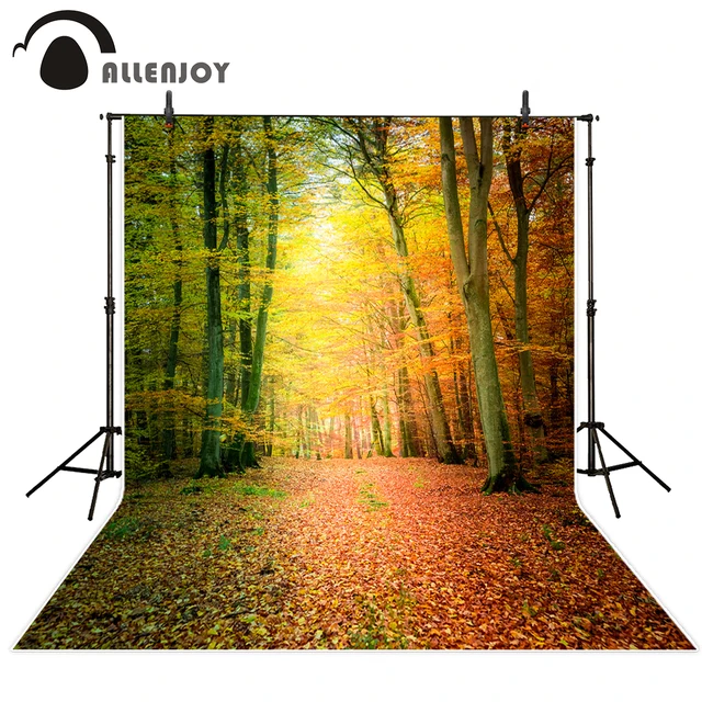 Allenjoy photography background Autumn leaves beautiful dream forest natural backdrop photo studio camera fotografica