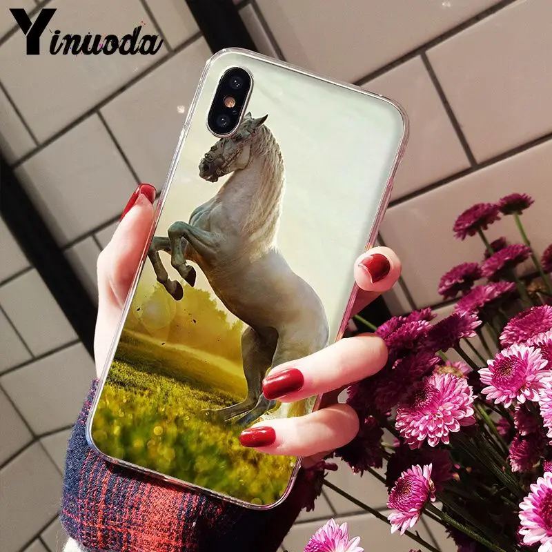 The Great beauty horse