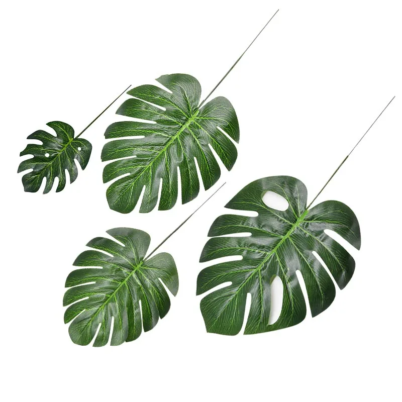 6 - 