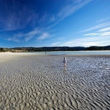 Beach  Doctors Point  South Island  New Zealand (horizontal) Poster Print by David Wall (27 x 18)