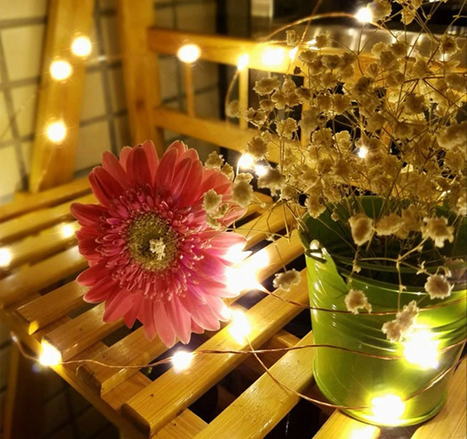 holiday lights (7)