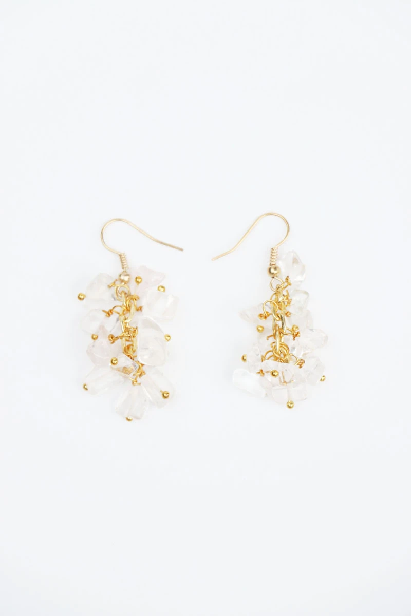 Earrings80