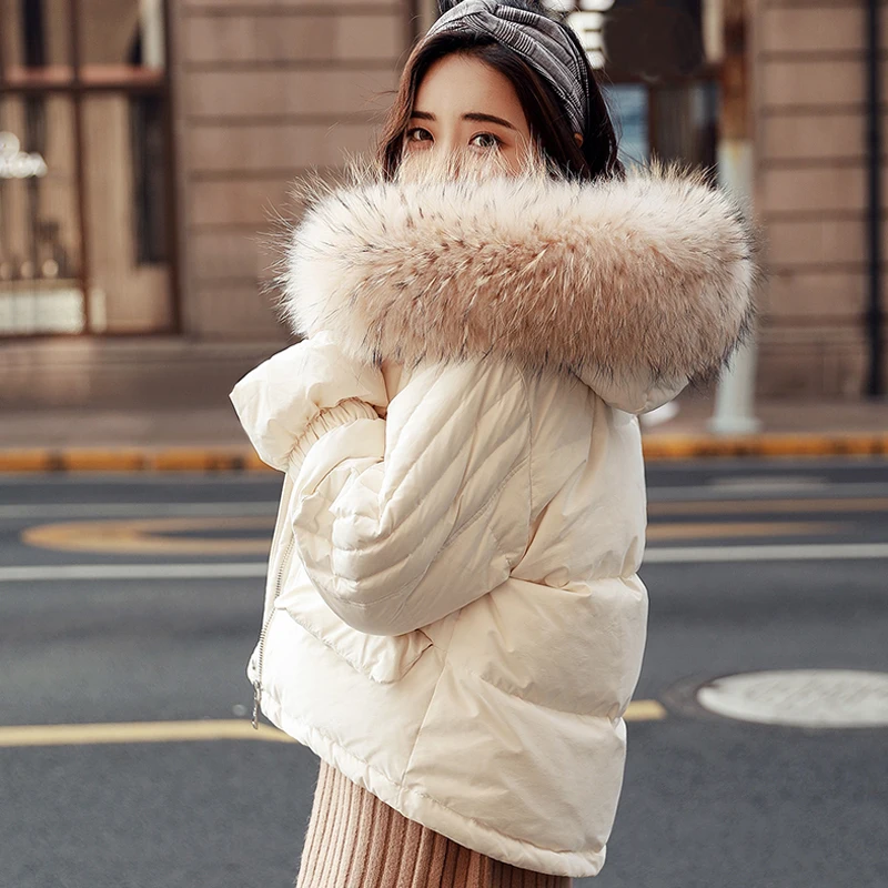 

Big Real Raccoon Fur 2019 Winter Jacket Women Female Snow Coat White Duck Down Jacket Thick Warm Down Parka Winter Woman Coat