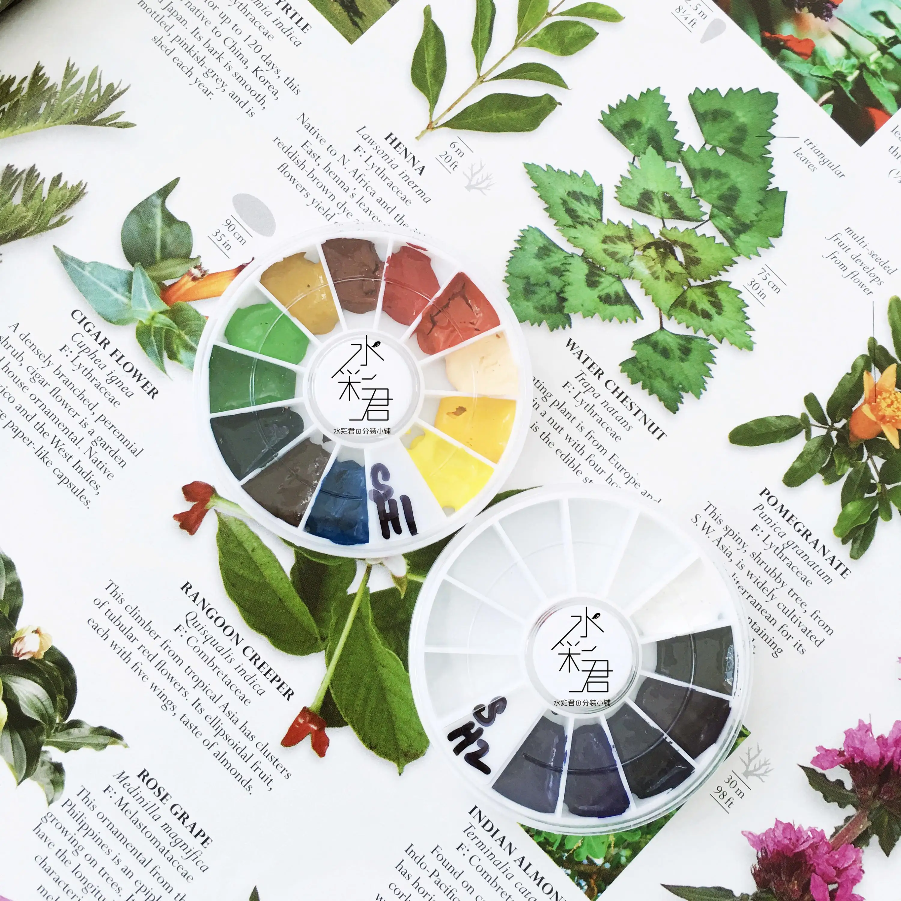 New Korea SHINHAN 18 Colors /30 Colors Watercolor Pigments acking Disc Trial tray Dispensing plate master daniel smith detailed watercolor ds maya 0 5ml 6 colors dispensing plate packing