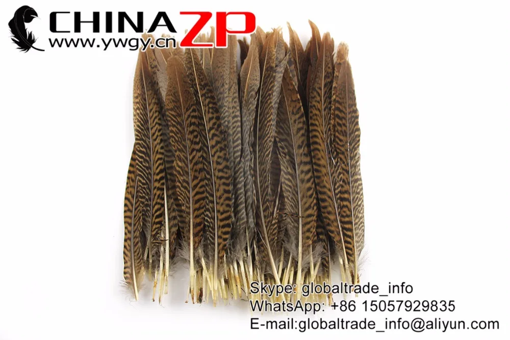 20-25cm Golden Pheasant Tail Feathers (1)