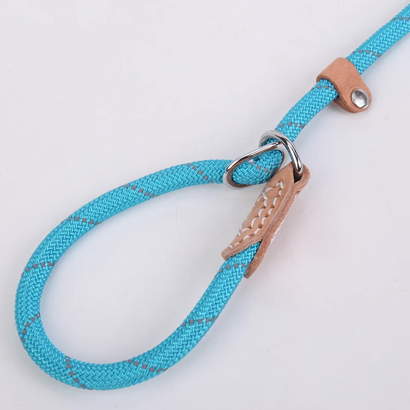 Reflective Dog Leash (3)