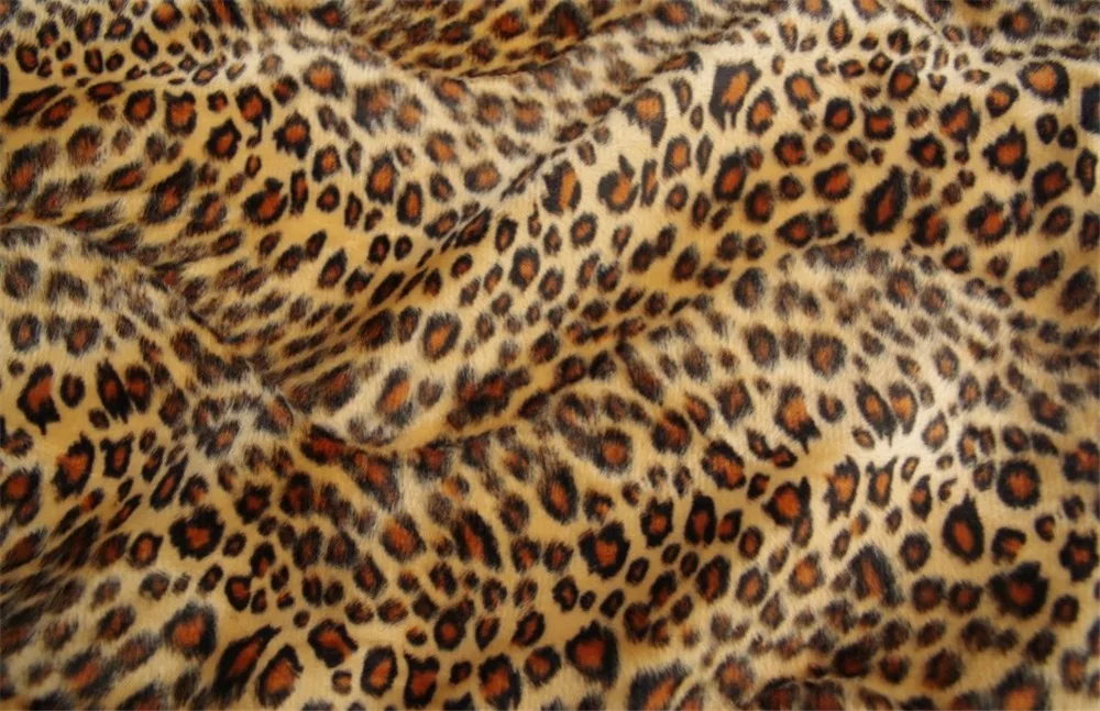 3593001295_1611465256